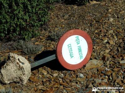 Pico Somosierra, Gran Recorrido GR88; rutas de senderismo cerca de madrid;senderismo en la pedriza